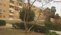 منظر عام امام العمارة