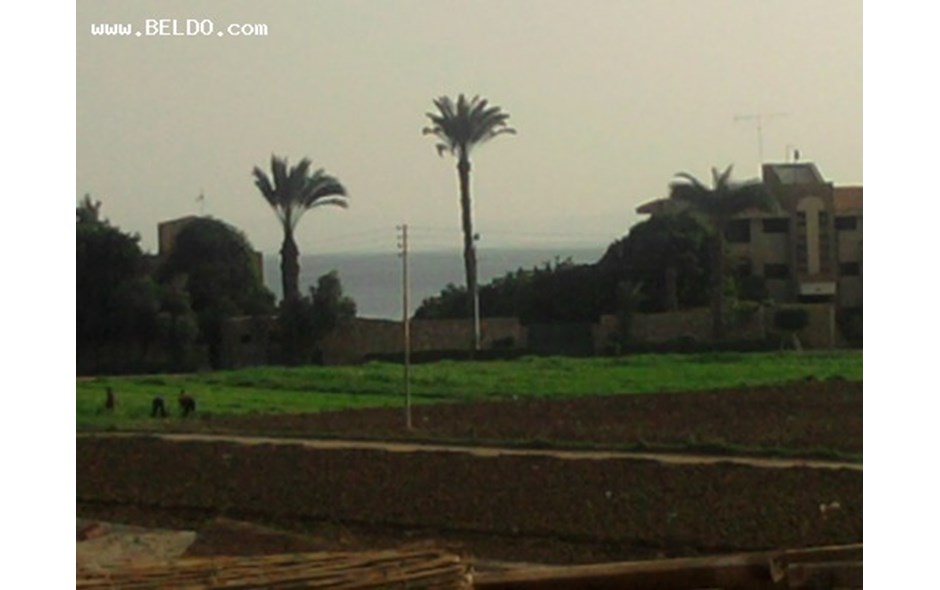 ارض 24 قيراط تصلح لبناء فيلا فى المريوطية ابوصير سقارة