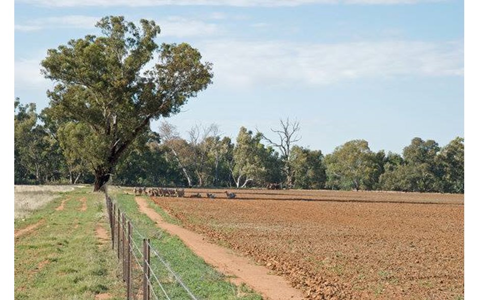ارض للبيع 5 فدان بطريق مصر الاسكندرية الصحراوى