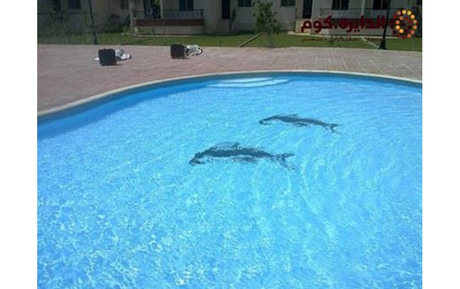 بدور على الهدوء و الرفاهيه و الخصوصيه شاليهك عندنا