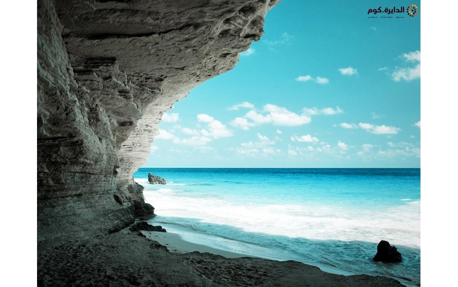 شاليه للبيع 